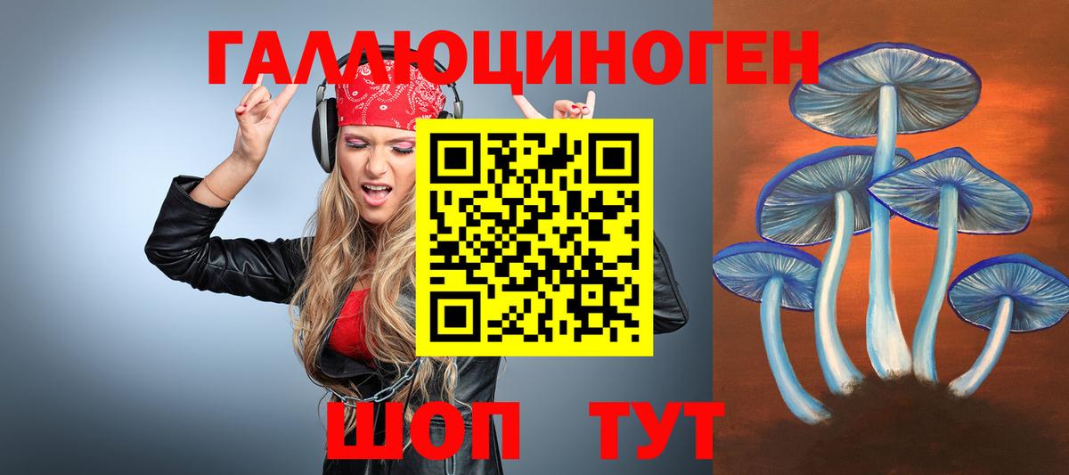 Псилоцибиновые грибы GOLDEN TEACHER Рыбинск