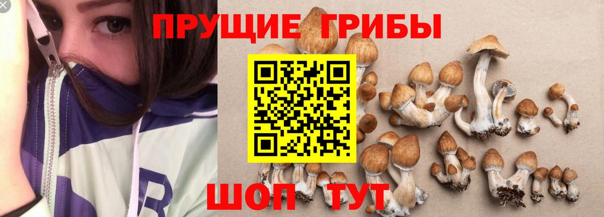 Рыбинск  Галлюциногенные грибы MAGIC MUSHROOMS  Вход с VPN 